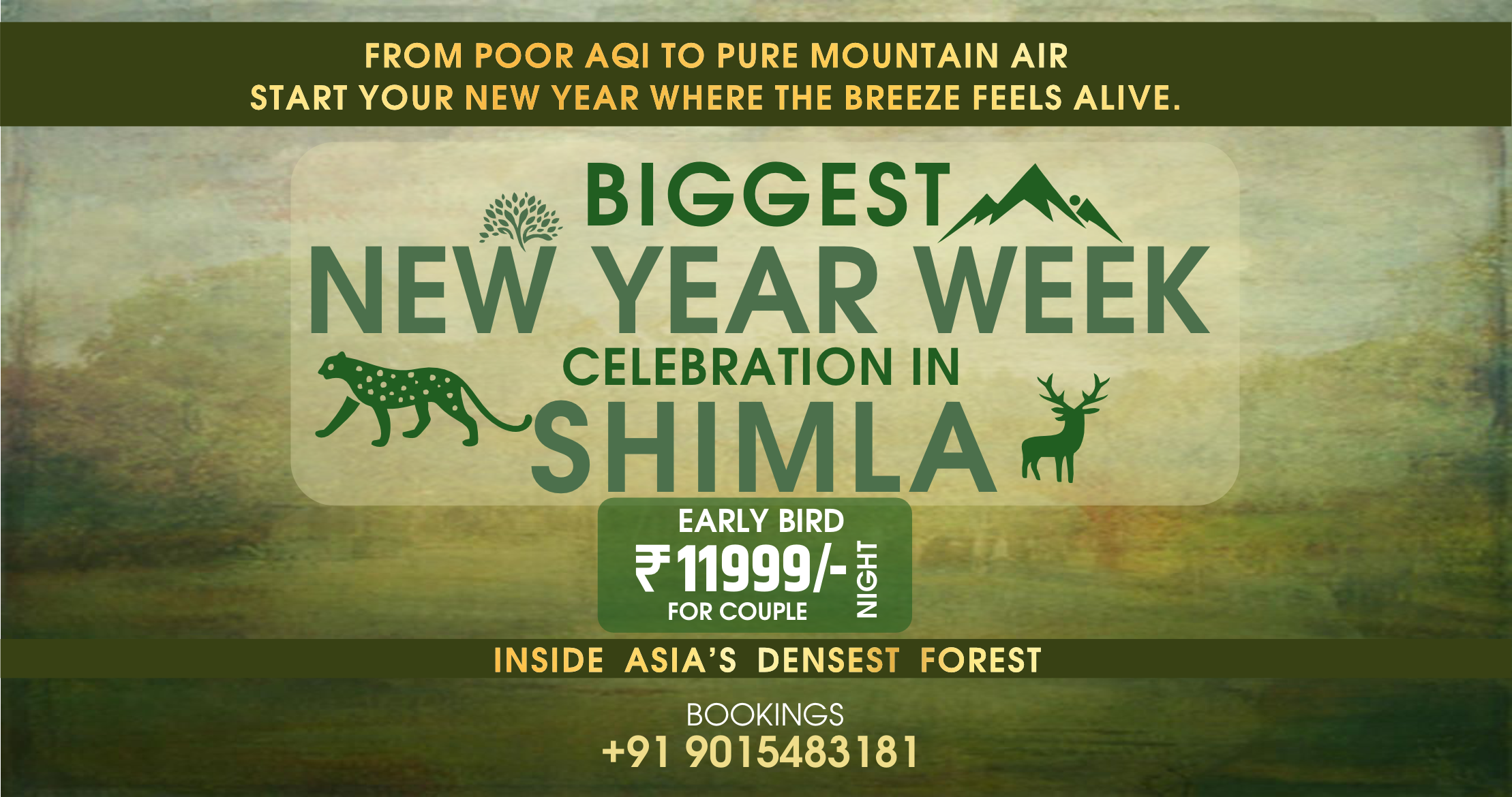 Shimla New Year Week Celebration